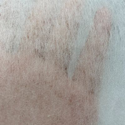 Gaoxin Tecido não tecido de ligação química poliéster/viscose para entrelaçamento de vestuário