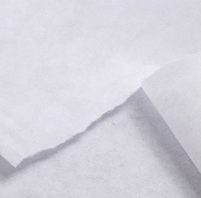 20-80GSM Tecido não tecido de poliéster de dupla ponta 100%